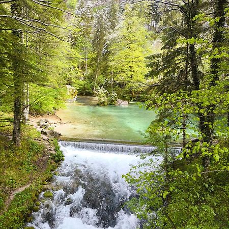 Skalca Villa Kamniska Bistrica Bagian luar foto