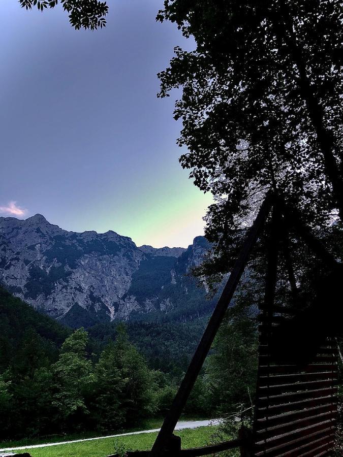 Skalca Villa Kamniska Bistrica Bagian luar foto
