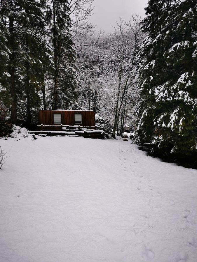 Skalca Villa Kamniska Bistrica Bagian luar foto