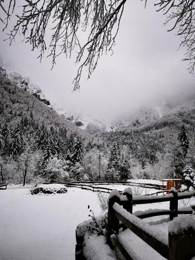 Skalca Villa Kamniska Bistrica Bagian luar foto
