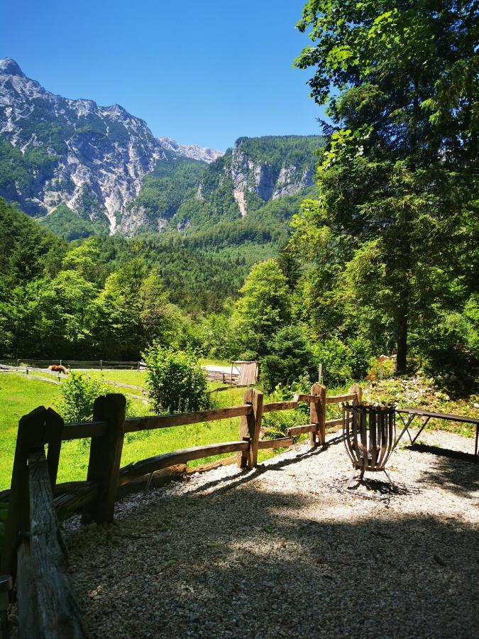 Skalca Villa Kamniska Bistrica Bagian luar foto