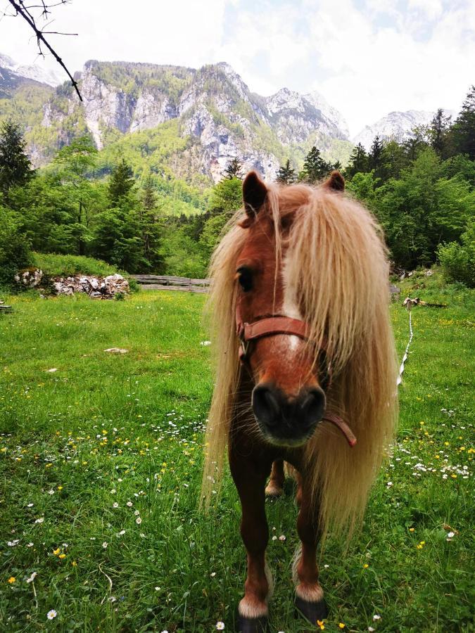 Skalca Villa Kamniska Bistrica Bagian luar foto